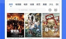 过年网友爆料视频下载网站,热门视频下载网站大盘点